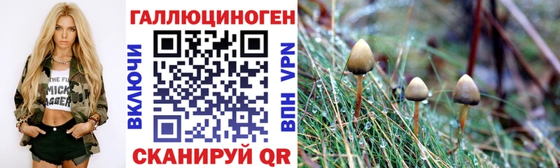 Галлюциногенные грибы мухоморы цены Новоржев